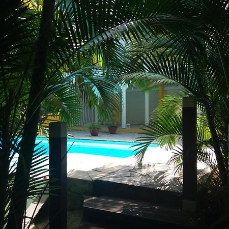 Chambre D'Hote Et Loft Dans Maison De Charme Piscine A Debordement La Villa Gialla Schoelcher Eksteriør bilde