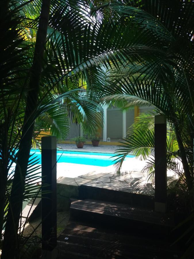 Chambre D'Hote Et Loft Dans Maison De Charme Piscine A Debordement La Villa Gialla Schoelcher Eksteriør bilde