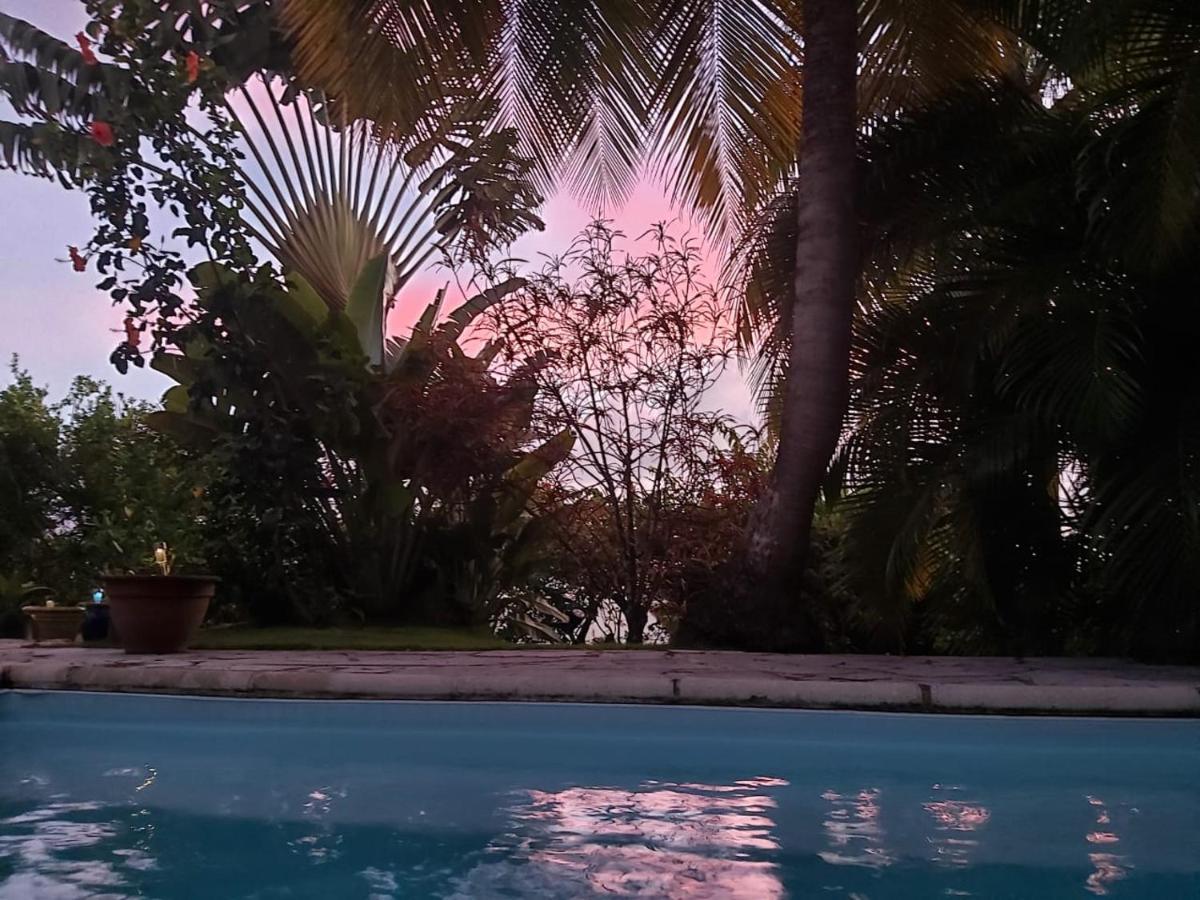 Chambre D'Hote Et Loft Dans Maison De Charme Piscine A Debordement La Villa Gialla Schoelcher Eksteriør bilde