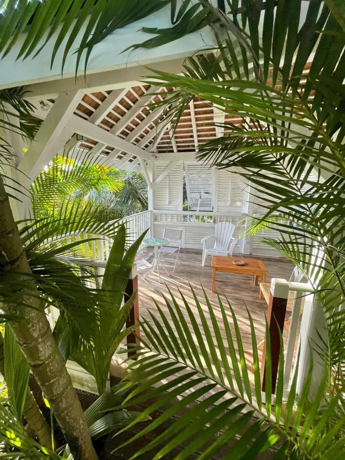 Chambre D'Hote Et Loft Dans Maison De Charme Piscine A Debordement La Villa Gialla Schoelcher Eksteriør bilde